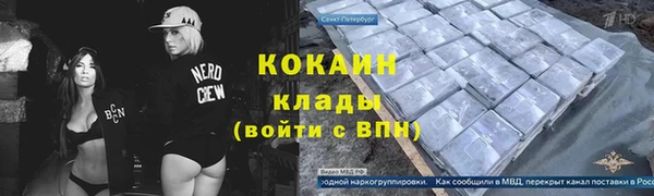 дмт Снежногорск