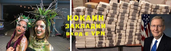 шишки Фурманов