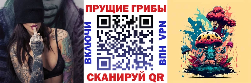 Галлюциногенные грибы GOLDEN TEACHER  закладка  Оханск 